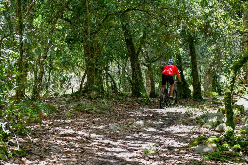 Travesía MTB Villa de Leyva 2025 - foto 50